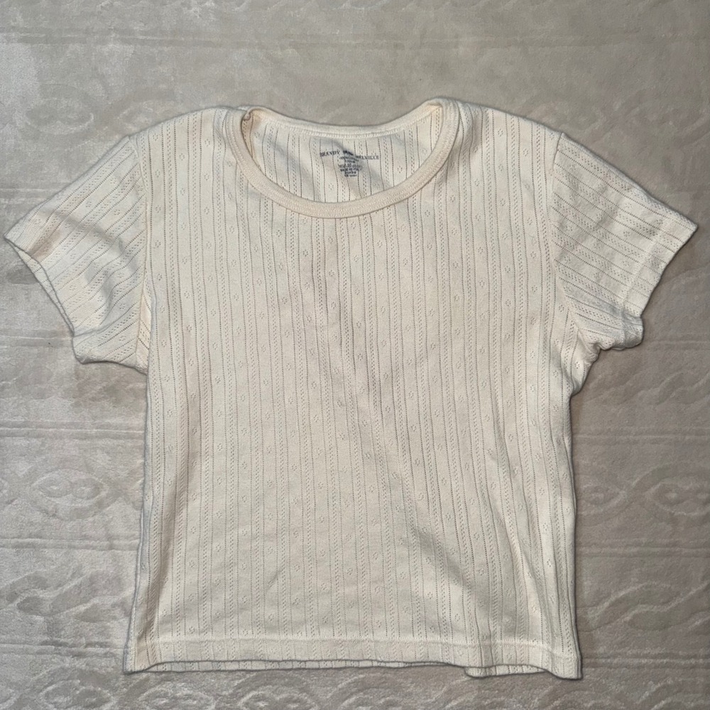 Brandy Melville Crop Top